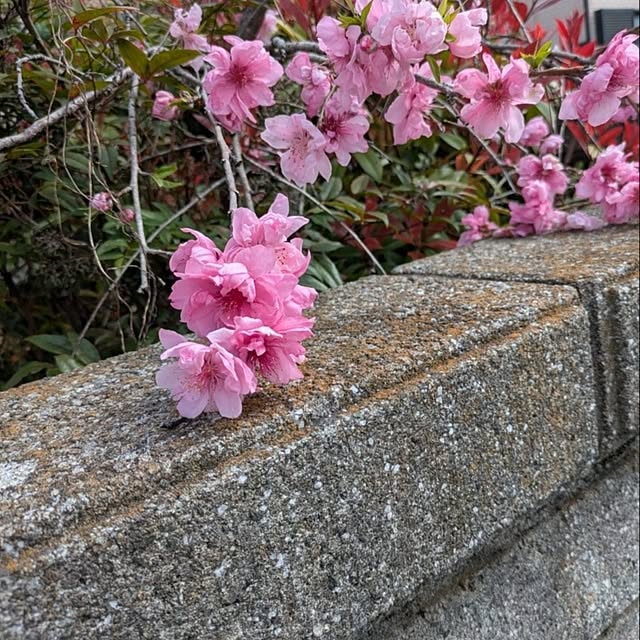 minnieさんの部屋