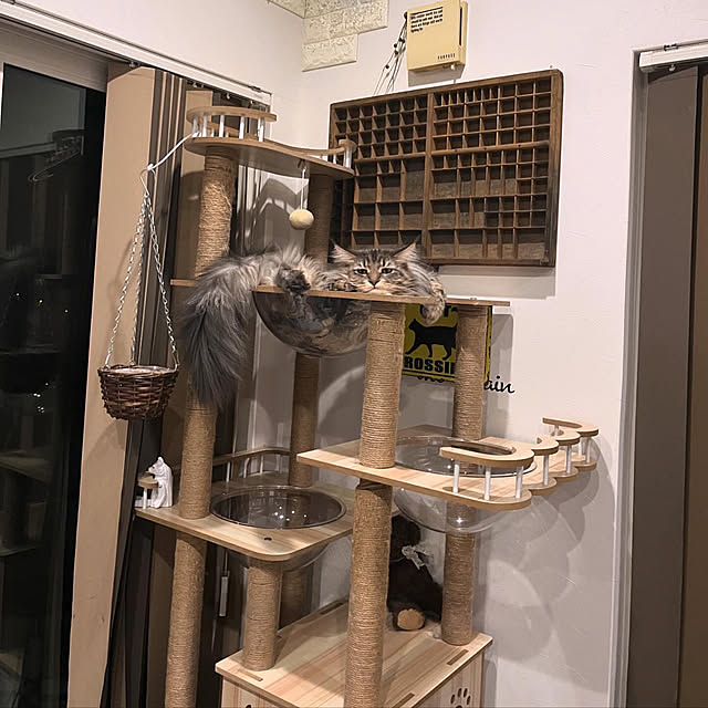 mayumiさんの部屋