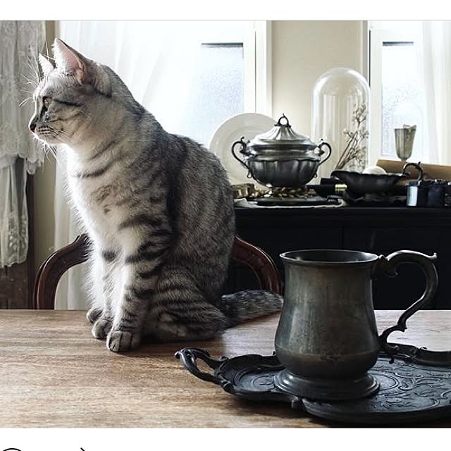 miiさんの実例写真