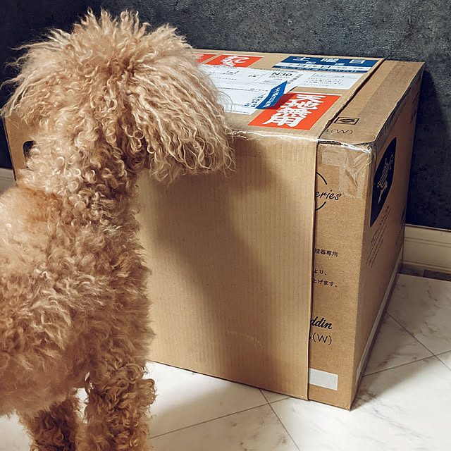 HIROMINさんの実例写真