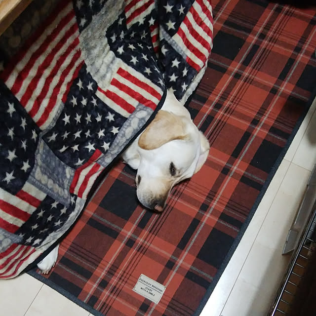 montomoさんの実例写真