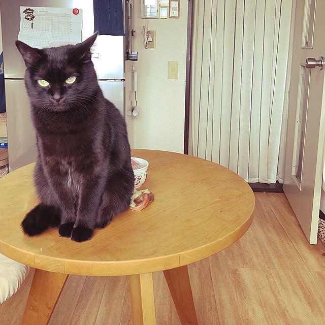 kotetuさんの実例写真