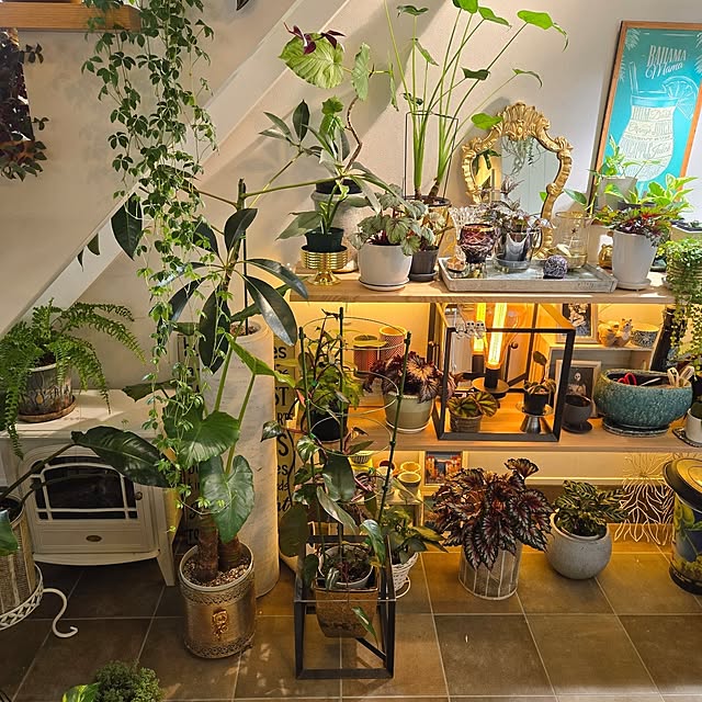 nonbiri_house_さんの実例写真