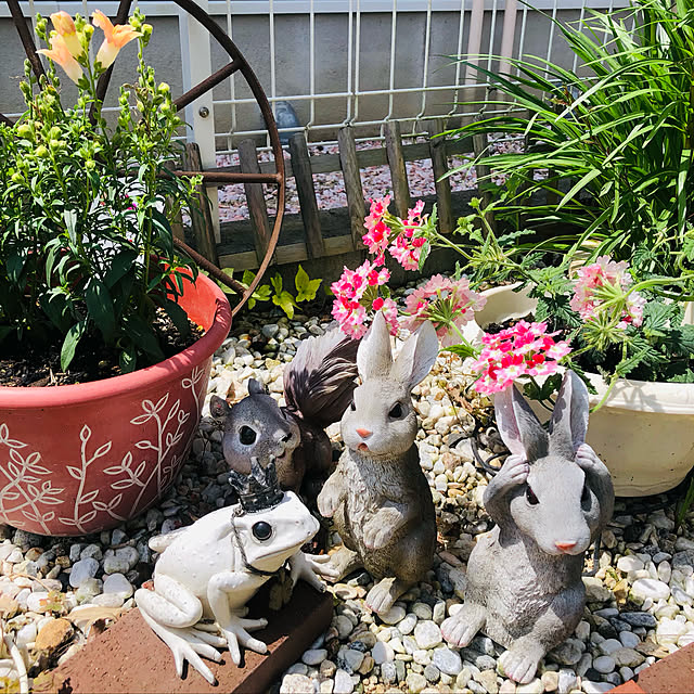 Rikimaさんの実例写真