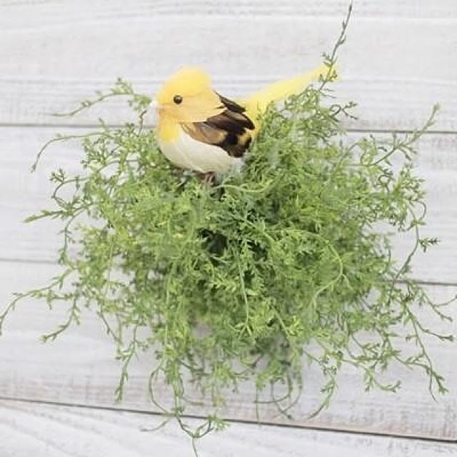 inazaurusuさんの実例写真