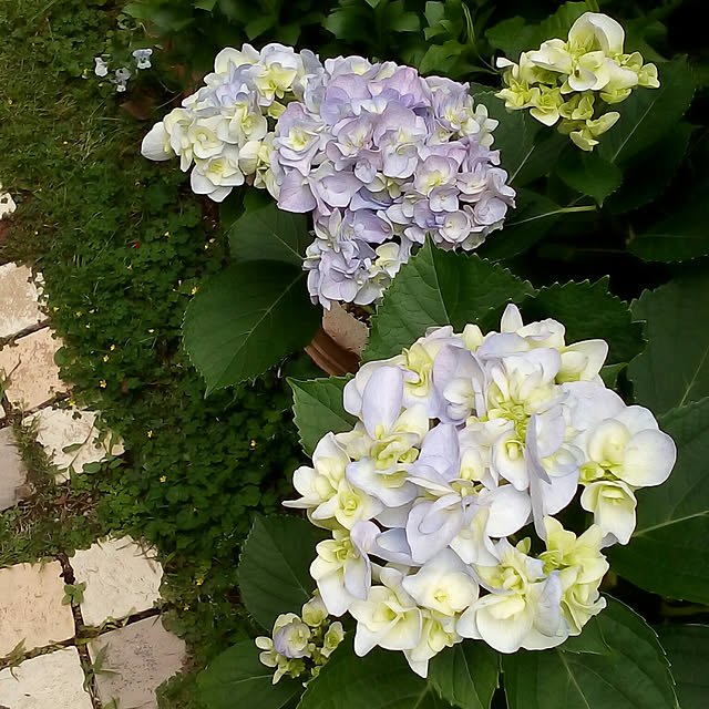 mariagardenさんの実例写真