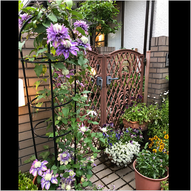 mamizaさんの実例写真