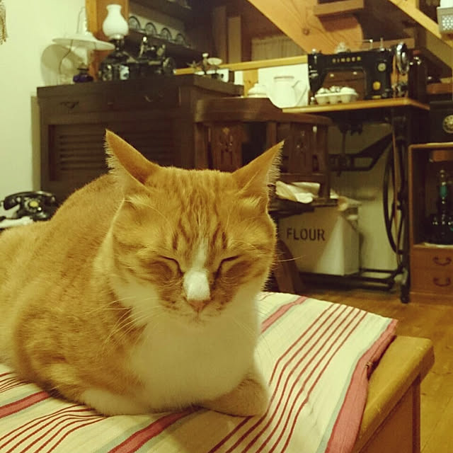 okaasanさんの実例写真