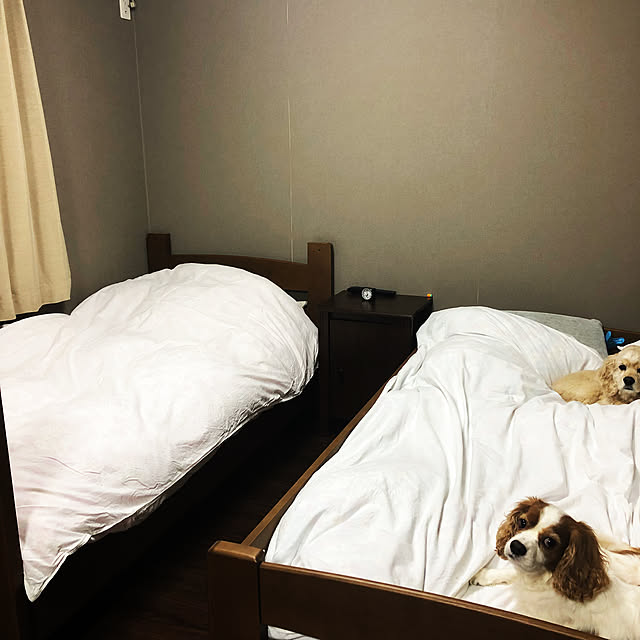 IZUMIさんの実例写真
