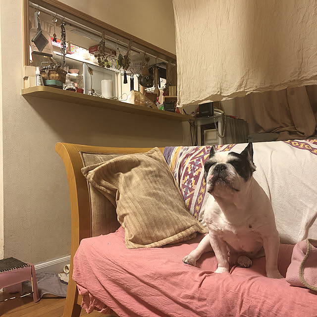 chi_gogaさんの実例写真