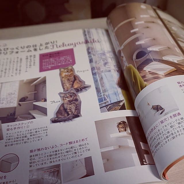theo_nazcaさんの実例写真