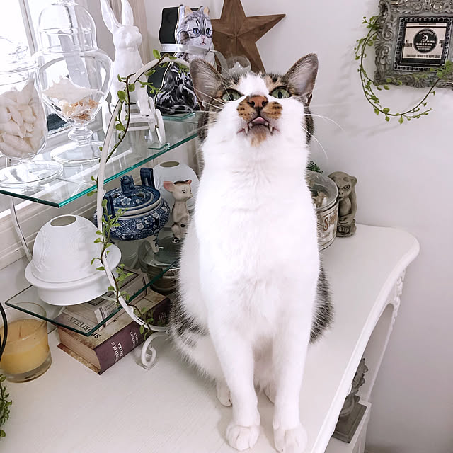 yuchiさんの実例写真