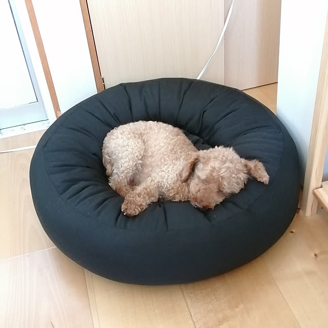 satosanさんの実例写真