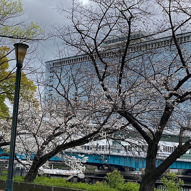 masaさんの実例写真