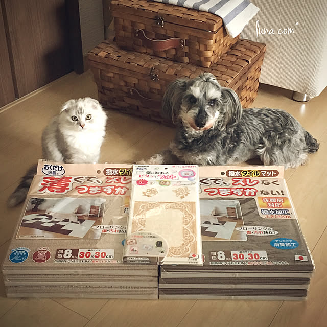 luna.comさんの実例写真