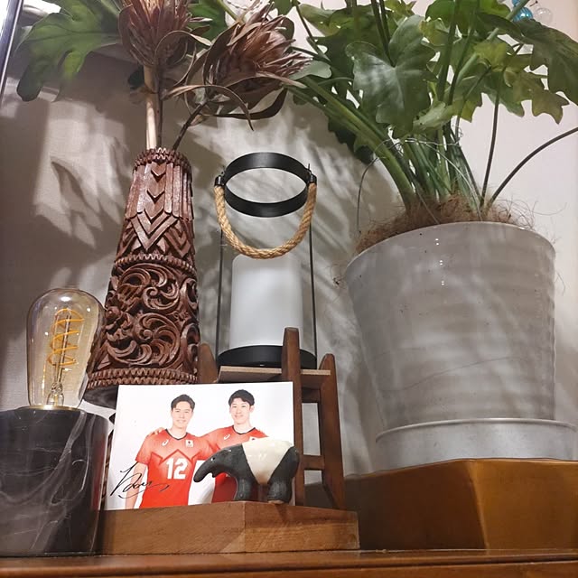 momoさんの実例写真