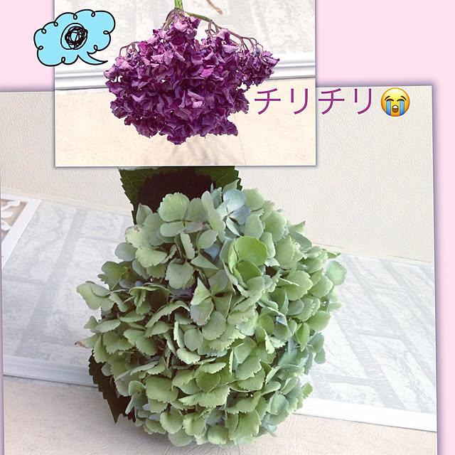 yokomokoさんの実例写真