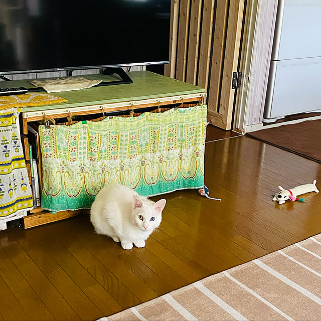 SHIHOさんの実例写真