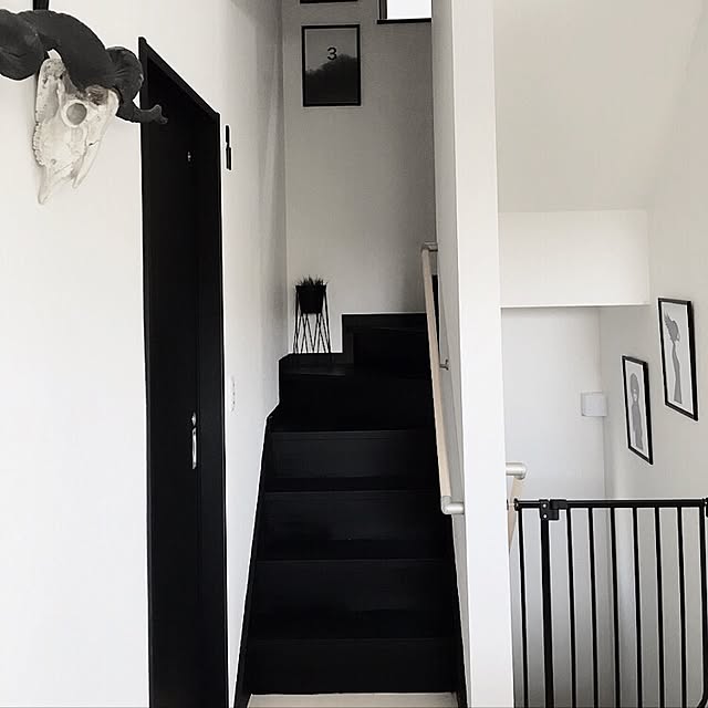 aika.h.m.kさんの実例写真