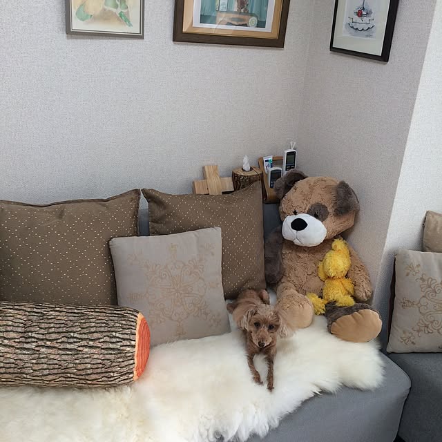 mioさんの実例写真