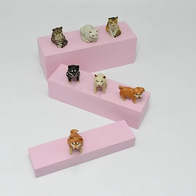 tukuriteさんの部屋