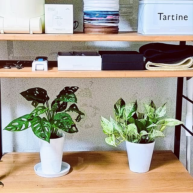 hanachanさんの部屋