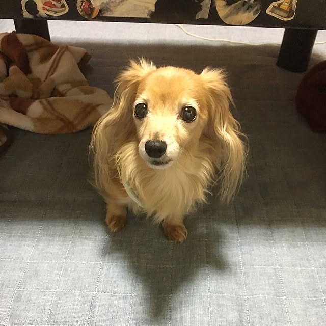 Monka63さんの実例写真