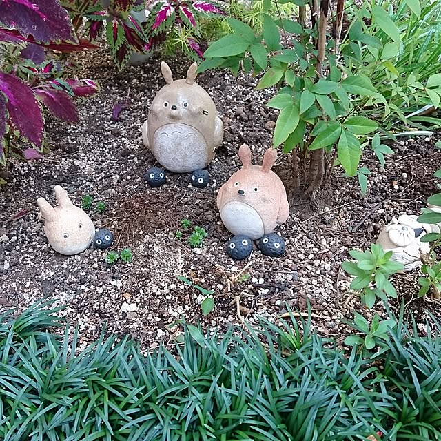 ayasamaさんの実例写真