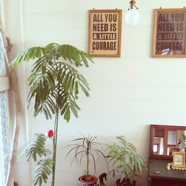 botanさんの実例写真