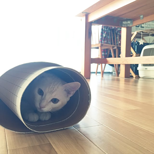 hiyupan88さんの実例写真