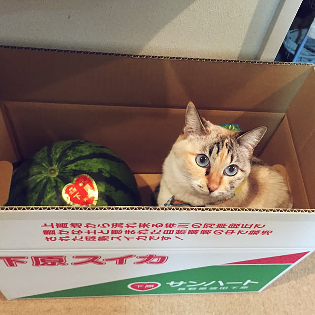 nanaさんの実例写真