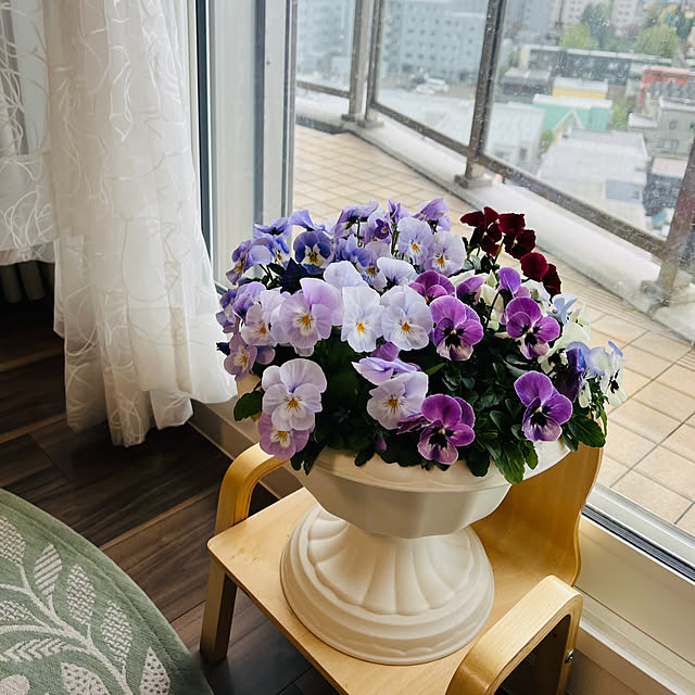 junさんの実例写真