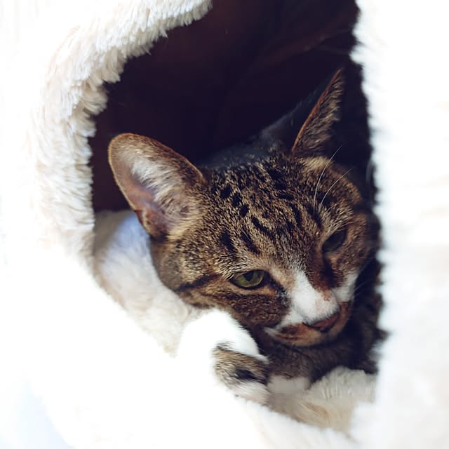nachiさんの部屋
