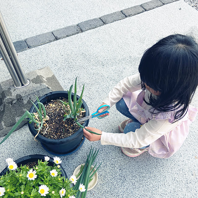 Kyoko.さんの実例写真