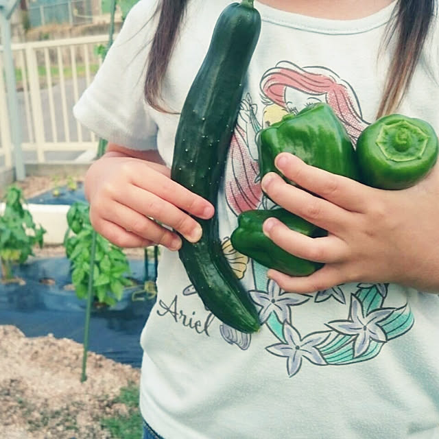 KTKYTさんの実例写真