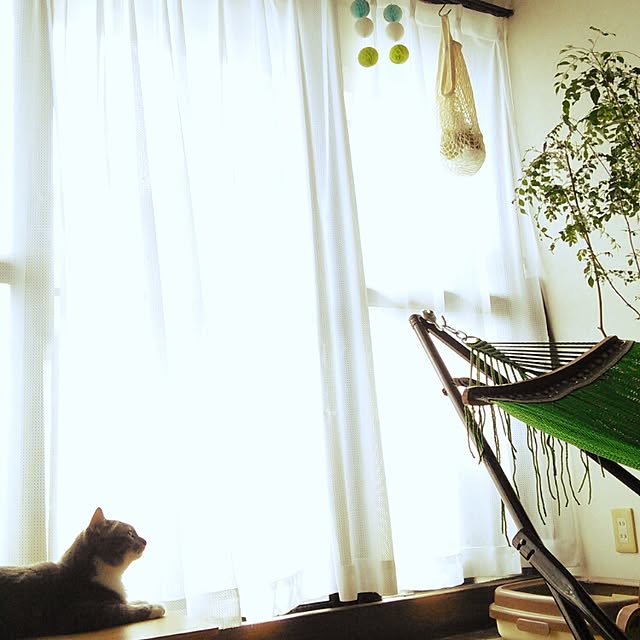 lovepandaさんの実例写真