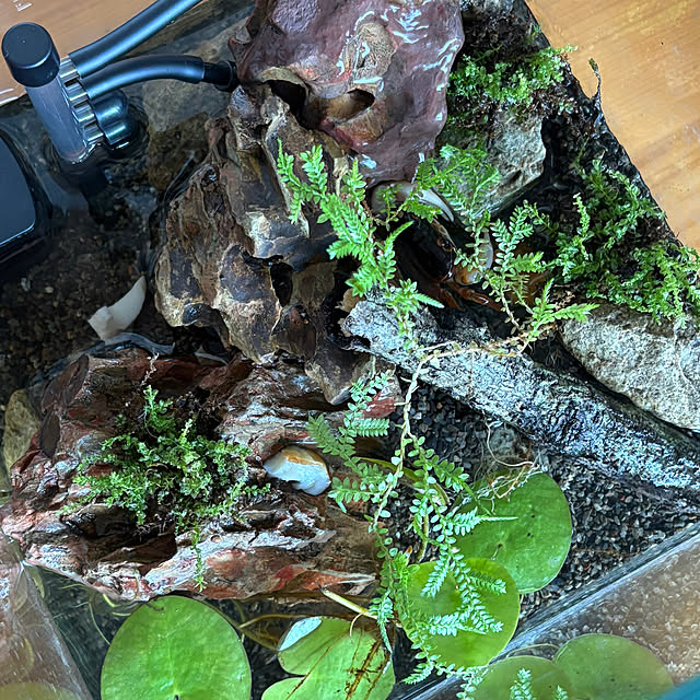 naokoさんの部屋