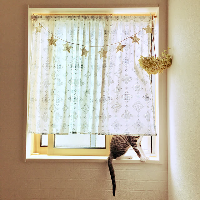 ippu0303Karinさんの実例写真