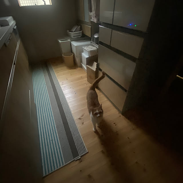 senbei.sakuramochiさんの実例写真