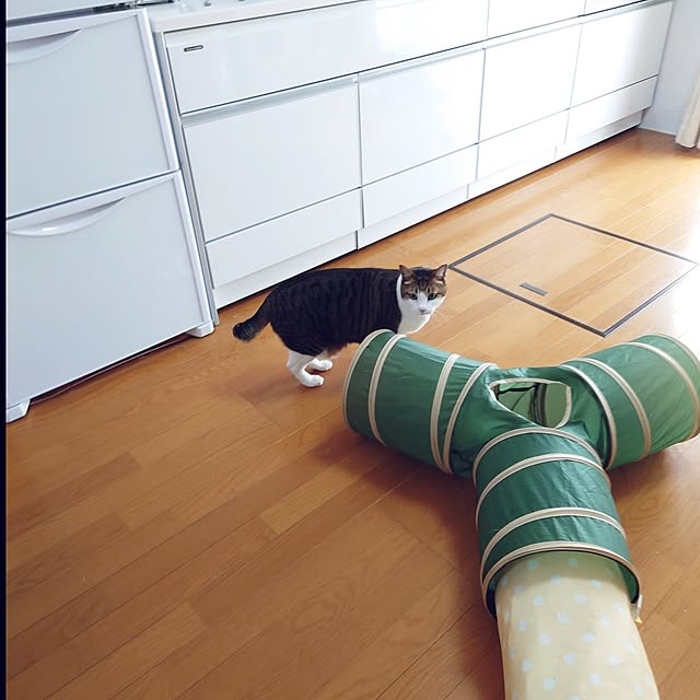 nachiさんの実例写真