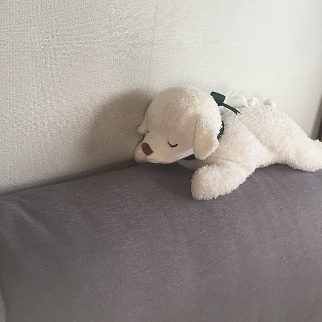 siiさんの実例写真