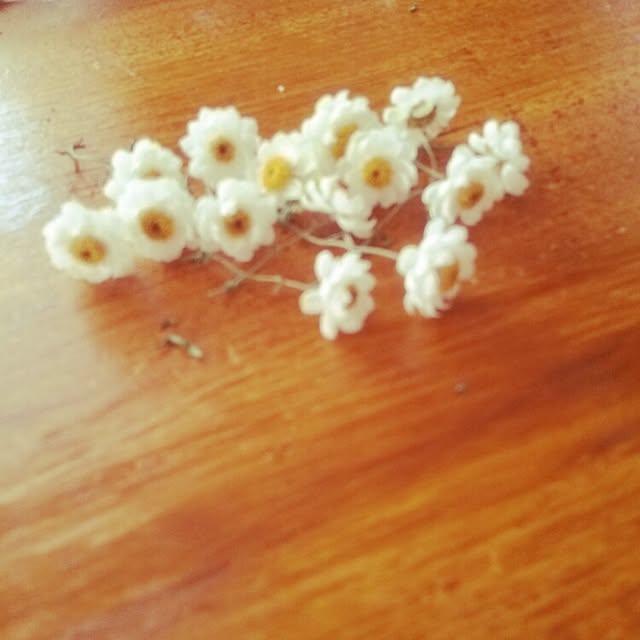 puricoさんの実例写真