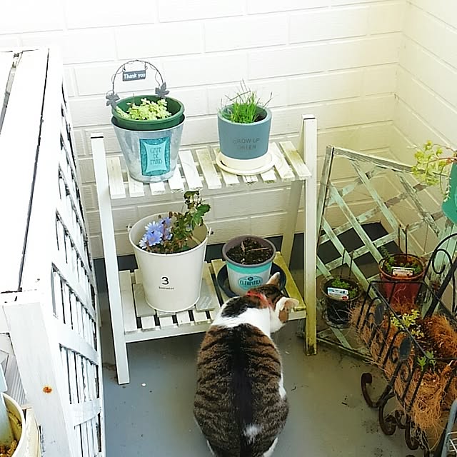 chako.さんの実例写真