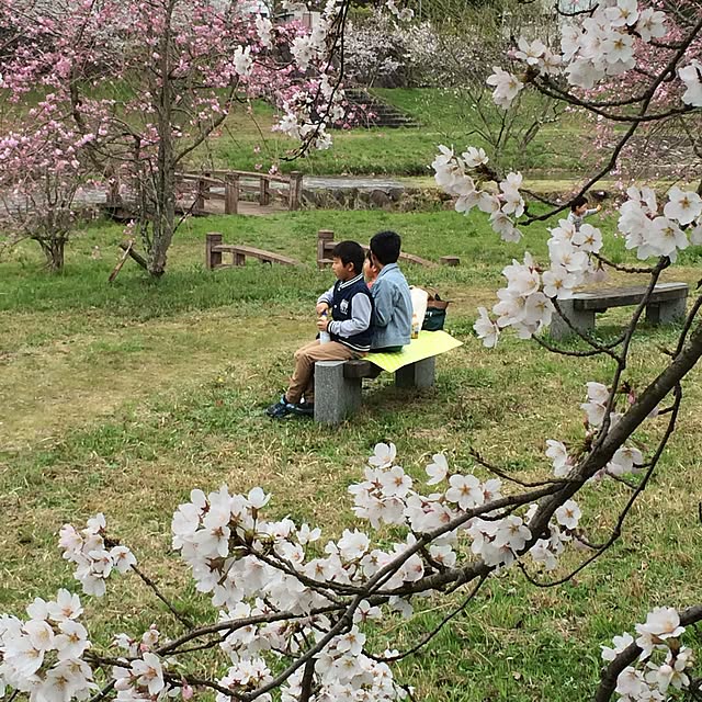 実例写真