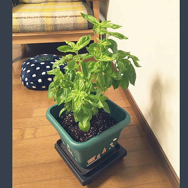 ackoさんの実例写真
