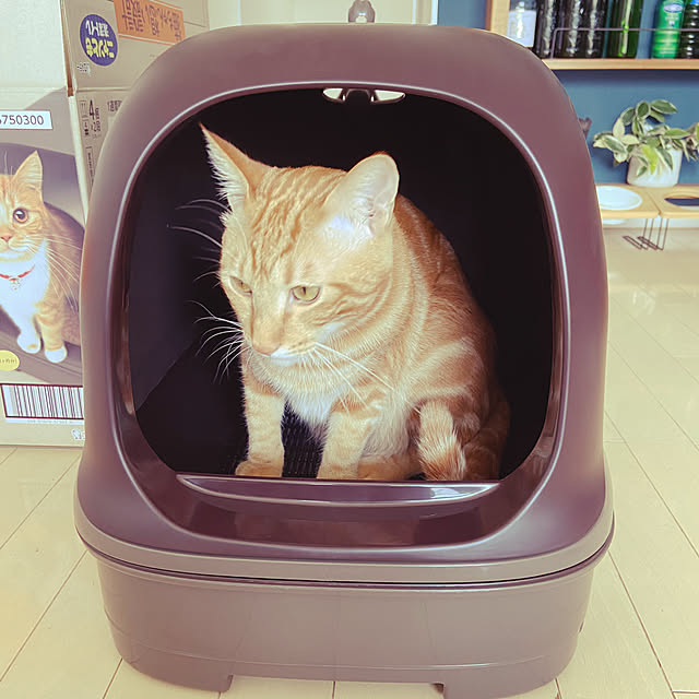 gachaさんの部屋