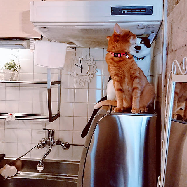 asuminさんの実例写真