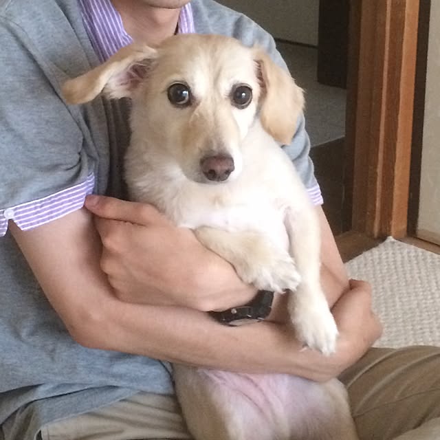 namesanさんの実例写真