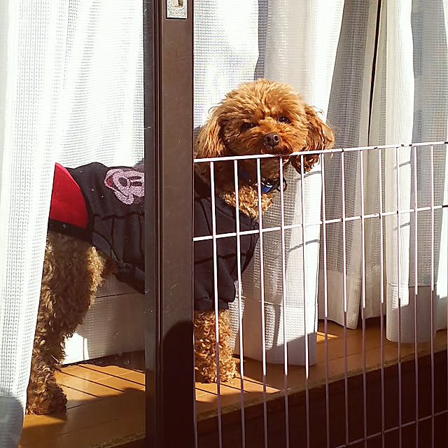 cherrycherryさんの実例写真