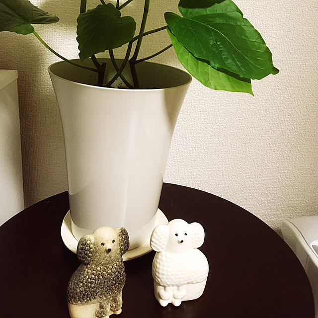 Mikiさんの実例写真